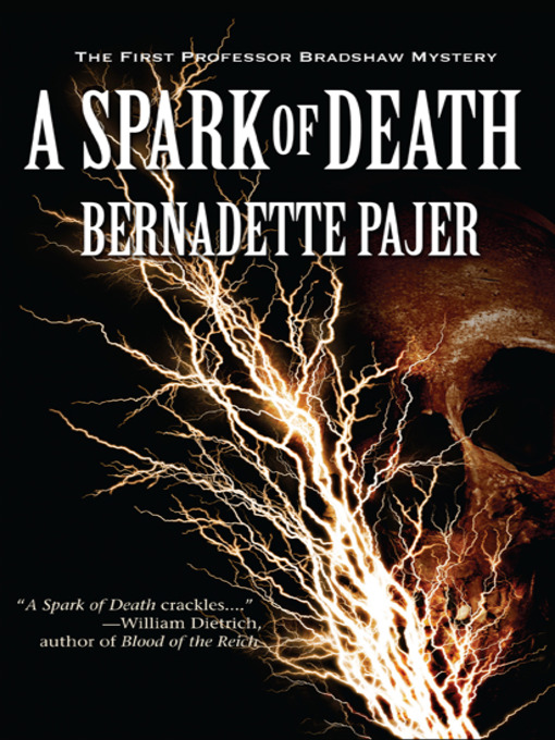 Title details for A Spark of Death by Bernadette Pajer - Available